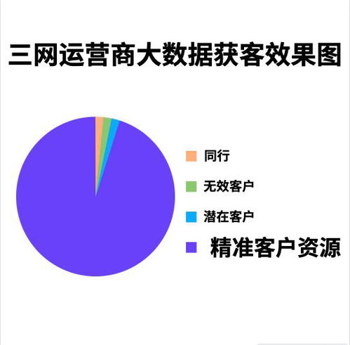 三網(wǎng)運(yùn)營商大數(shù)據(jù)技術(shù)推廣服務(wù) 驅(qū)動(dòng)企業(yè)數(shù)字化轉(zhuǎn)型新引擎