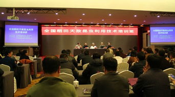 技術(shù)推廣服務(wù)中心 連接創(chuàng)新與應(yīng)用的橋梁